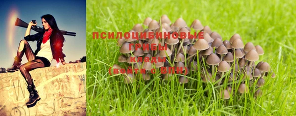 таблы Алексеевка
