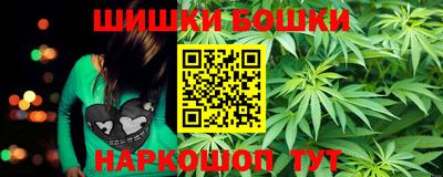 гашик Гусь-Хрустальный