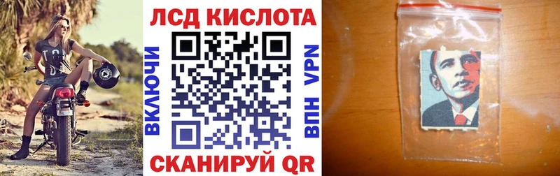 купить наркотики сайты  МЕГА ТОР  Наркотические марки 1500мкг  Кольчугино 