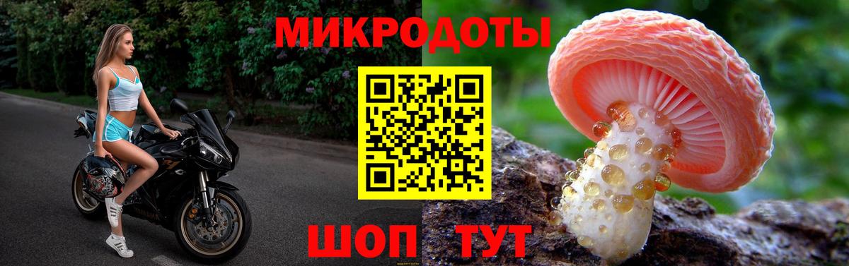 Псилоцибиновые грибы прущие грибы Кольчугино